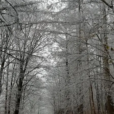 à L´aise Chalet Petit Mesnil