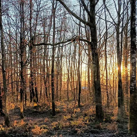 Domek alpejski A L'aise Petit Mesnil